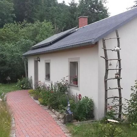 Pochebachhaeusl Villa Kurort Jonsdorf Ngoại thất bức ảnh